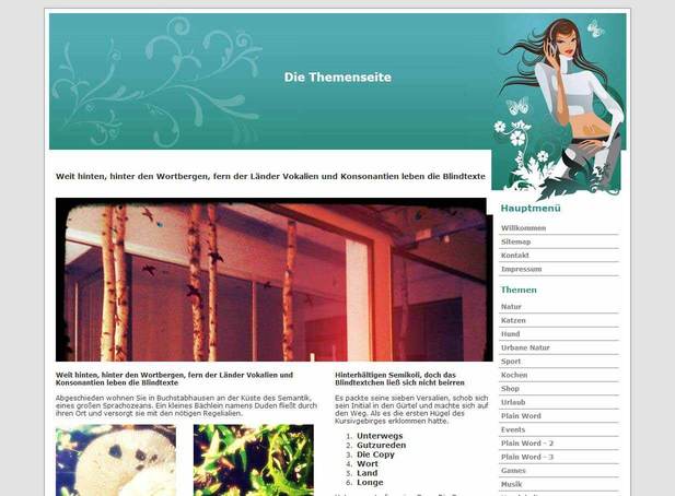 Exemplo de design 6